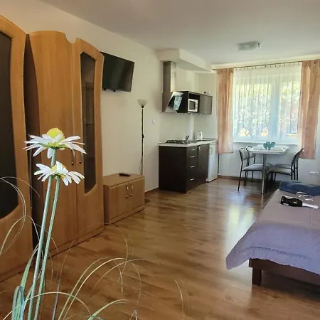 Wladek Władysławowo